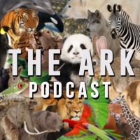 The Ark cover