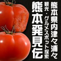 熊本発見伝 cover
