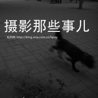 松列布 cover