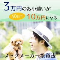 3万円のお小遣いが30日で10万円になる投資法 cover
