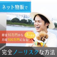 ネット物販で即金10万円から3ヶ月で月収100万円になる完全ノーリスクな方法 cover