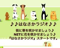 ♪♪はなさかラジオ♪♪ cover