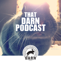 That DARN Podcast cover