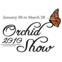 Missouri Botanical Garden Orchid Show 2010 cover