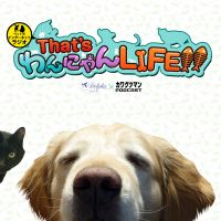 That's わんにゃんLIFE!! cover
