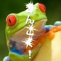 きんこく！ cover
