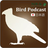 NFA Bird Podcast 日本語版 cover