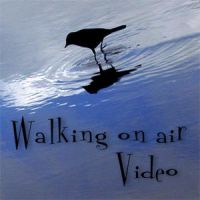 Walking On Air cover