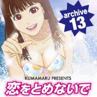 恋をとめないで archive 13 cover