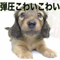弾圧こわいこわいラジオ cover
