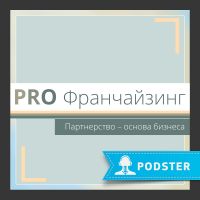 PRO Франчайзинг cover