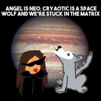 ANCSWWSM cover