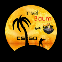 CS:GO Talk by InselBaum.ch cover