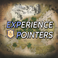Experience Pointers cover