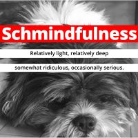 Schmindfulness cover