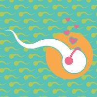 I Want to Put a Baby in You! cover
