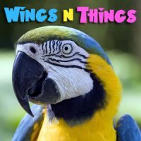 WingsNThings - Birds & Parrots as Pets - All About Pet Birds - Pets & Animals on Pet Life Radio (PetLifeRadio.com) cover