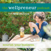 The Wellpreneur Podcast cover