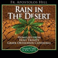 Rain in the Desert cover