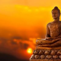 Dhamma City cover