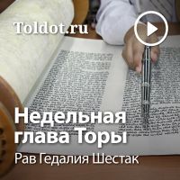 Рав Гедалия Шестак  — Недельная глава Торы cover