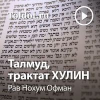Рав Нохум Офман  — Талмуд, трактат Хулин cover