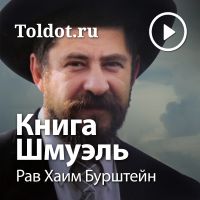 Рав Хаим Бурштейн  — Книга Шмуэль cover