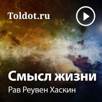 Рав Реувен Хаскин  — Смысл жизни cover