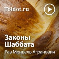 Рав Мендель Агранович  — Законы Шаббата cover