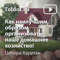 Ципора Харитан  — Как наилучшим образом организовать наше домашнее хозяйство! cover