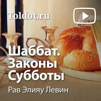 Рав Элияу Левин  — Шаббат. Законы Субботы cover