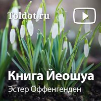 Эстер Оффенгенден  — Книга Йеошуа cover
