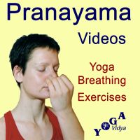 Pranayama - Breathing Exercises für new Energy - Yoga Vidya Videos cover
