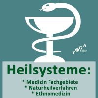 Heilsysteme: Medizin Fachgebiete, Naturheilverfahren, Ethnomedizin cover