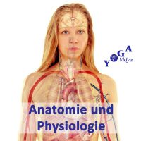 Anatomie und Physiologie – Naturheilkunde cover