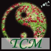 TCM - Traditionelle Chinesische Medizin cover