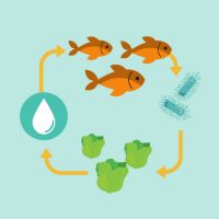 European Aquaponics Podcast cover