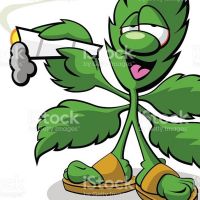 LaOtraSociación Marihuana Cannabis RADIOLAGANJA cover