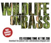 Wildlife On Bass cover