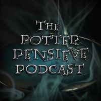 The Potter Pensieve cover