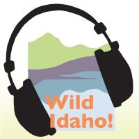 Wild Idaho! Podcast cover