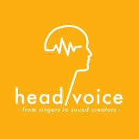 head/voice cover