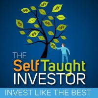 The Self Taught Investor cover