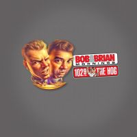 Bob and Brian Podcasts cover