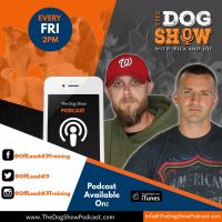 The Dog Show with Nick and Joe cover