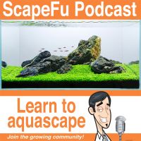 The ScapeFu Podcast cover