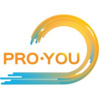 Pro You Podcast cover