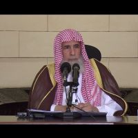 ناصر العمر cover