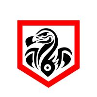 Rádio Coluna do Flamengo cover