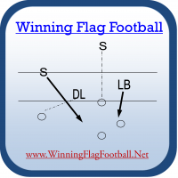 Winning Flag Football cover